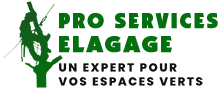 elagage-pro-services-elagage