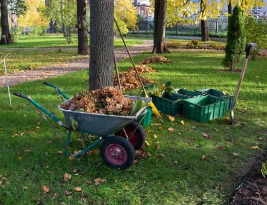 entretien-parc-et-jardin-02